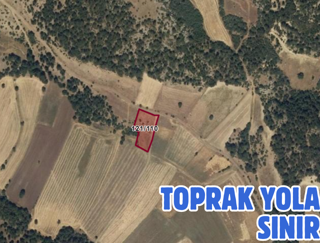 DENİZLİ ÇARDAK SÖĞÜT 2.242 M² TARLAMIZ SATILIKTIR - DENİZLİ ÇARDAK fotoğraf 3